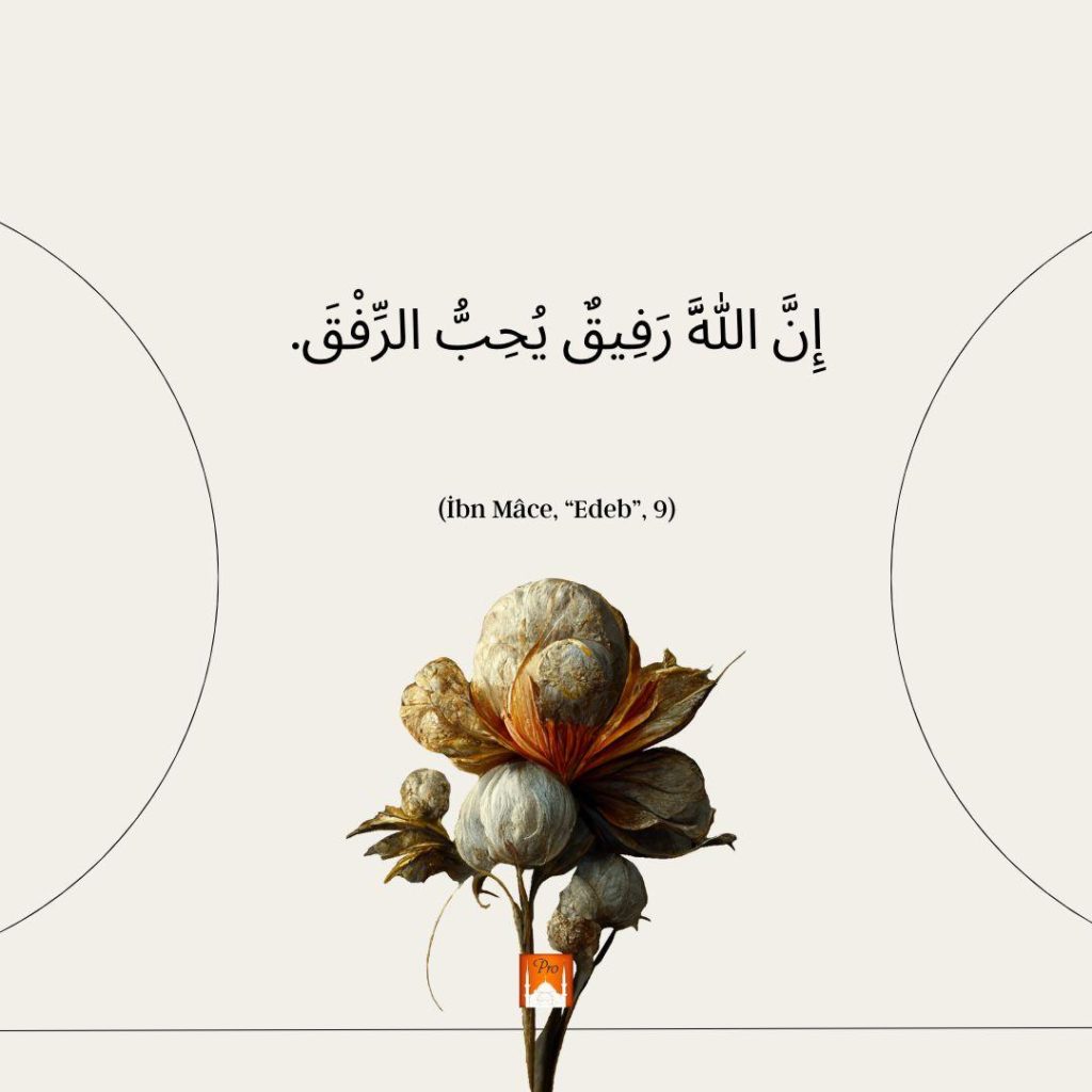(İbn Mâce, “Edeb”, 9) 9 (İbn Mâce