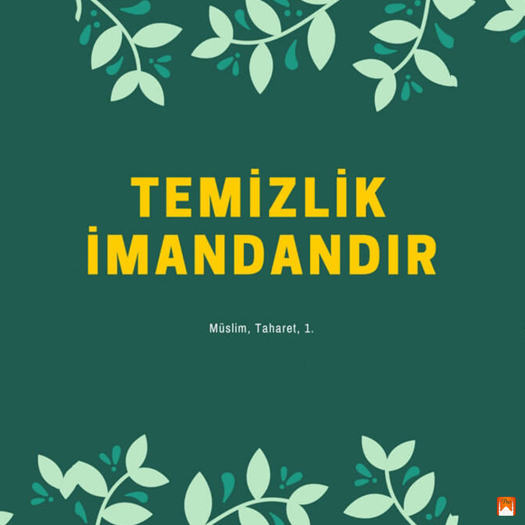 — TEMİZLİK