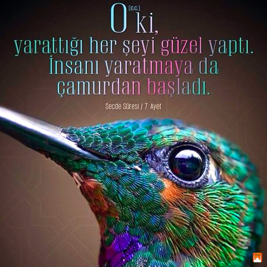 Üki