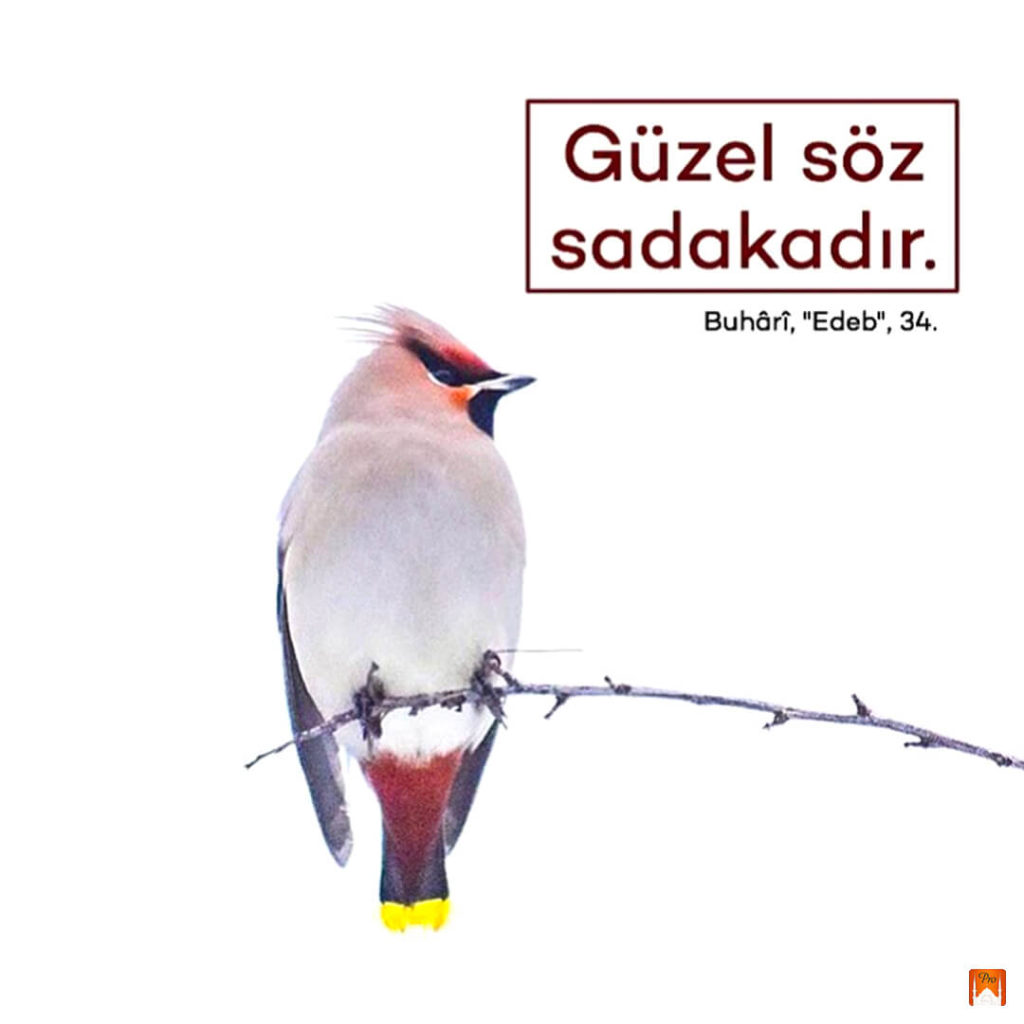 Güzel söz