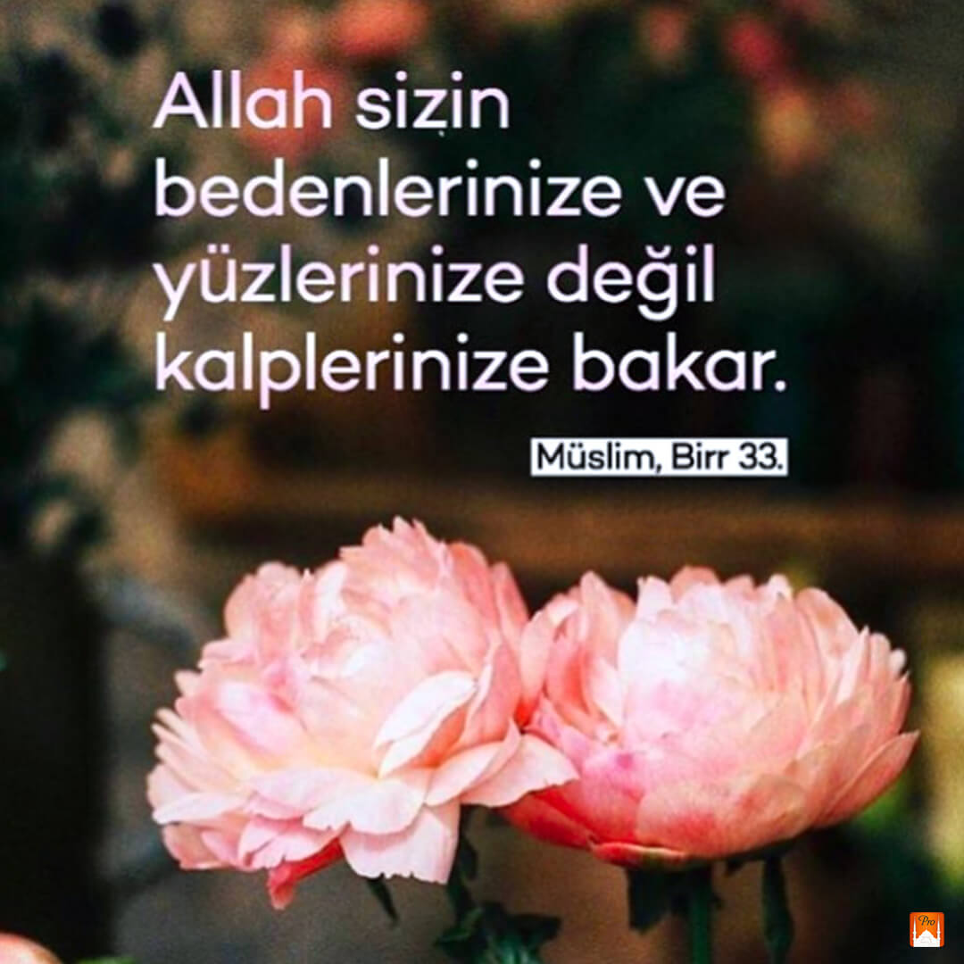 Allah sizin