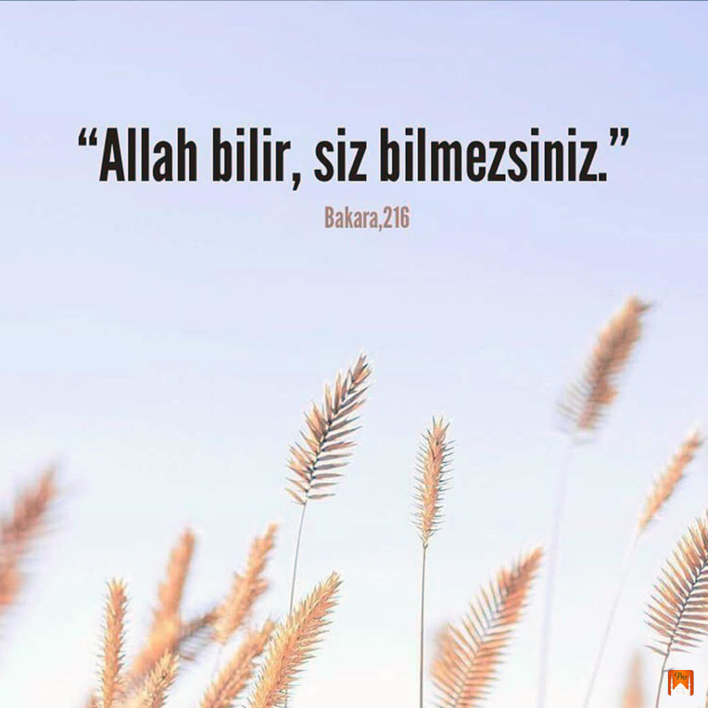 “Allah bilir, siz hılmezsınız aaaaaaaaa 10 “Allah bilir