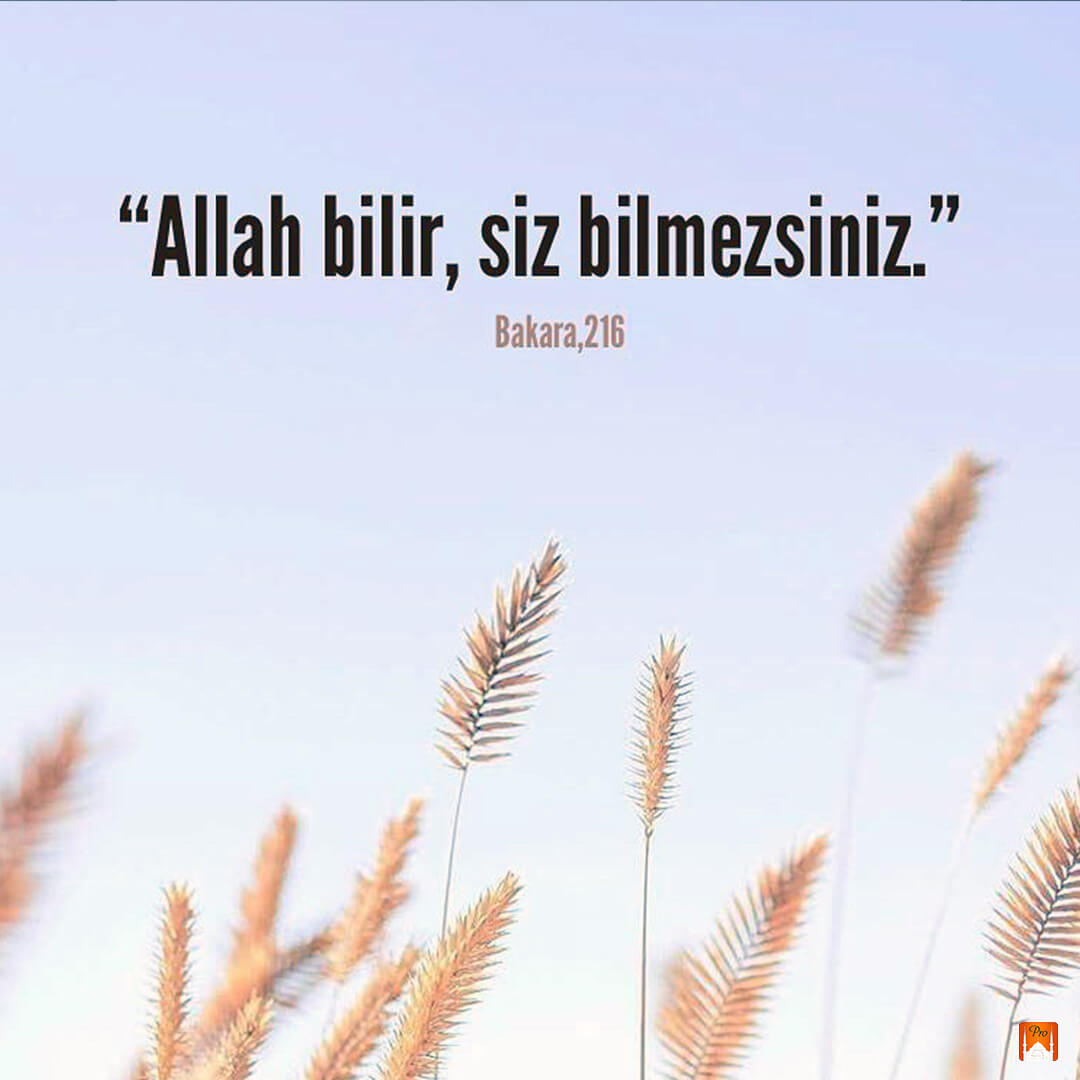 “Allah bilir