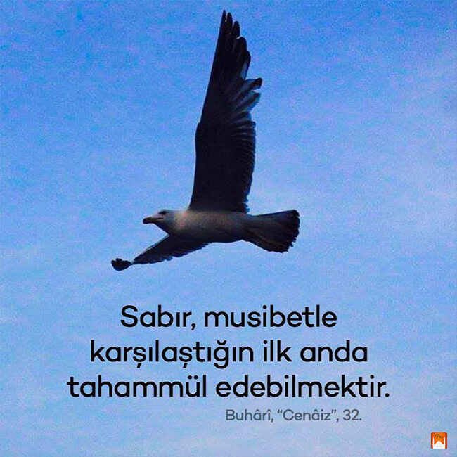 Sabır