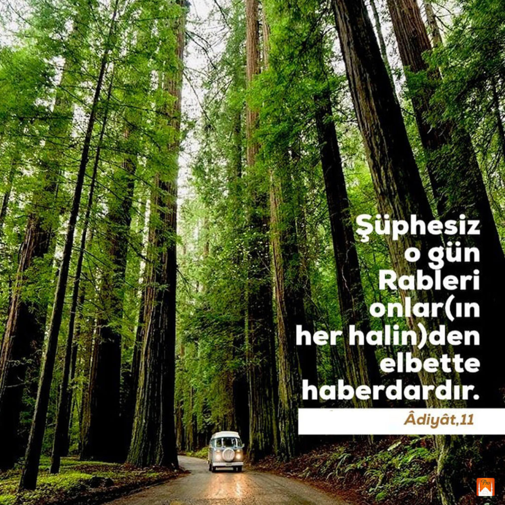 v c N € u etd' ,.İ"u eHKd er hoa____ınıü.er Te Si
K 6 v c