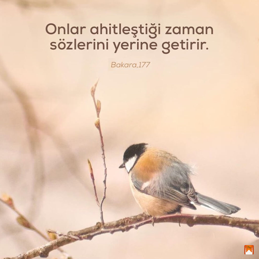 Onlar ahitleştiği zaman
sözlerini yerine getirir. Bakara,177 4 Onlar ahitleştiği zaman