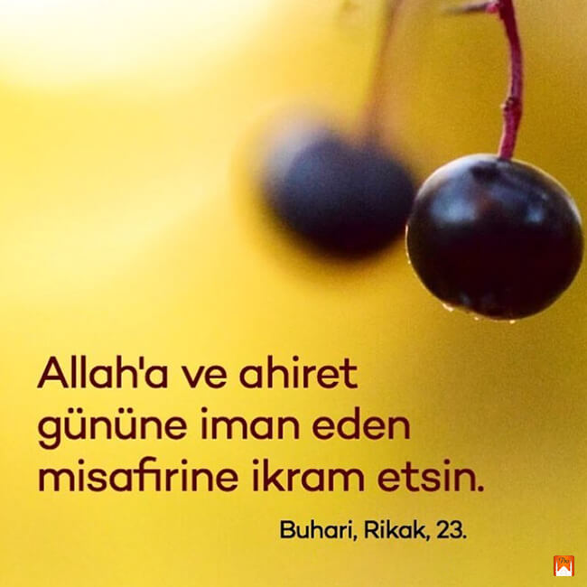 Allah'a ve ahiret