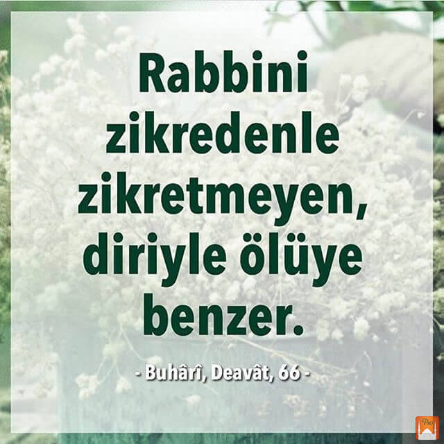 | Rabbini