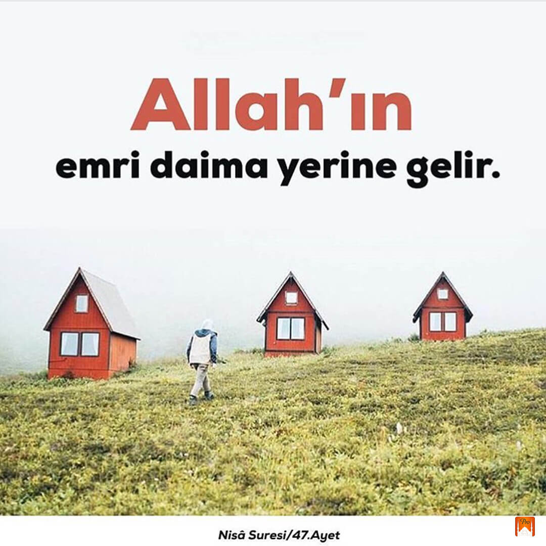 Allah'ın