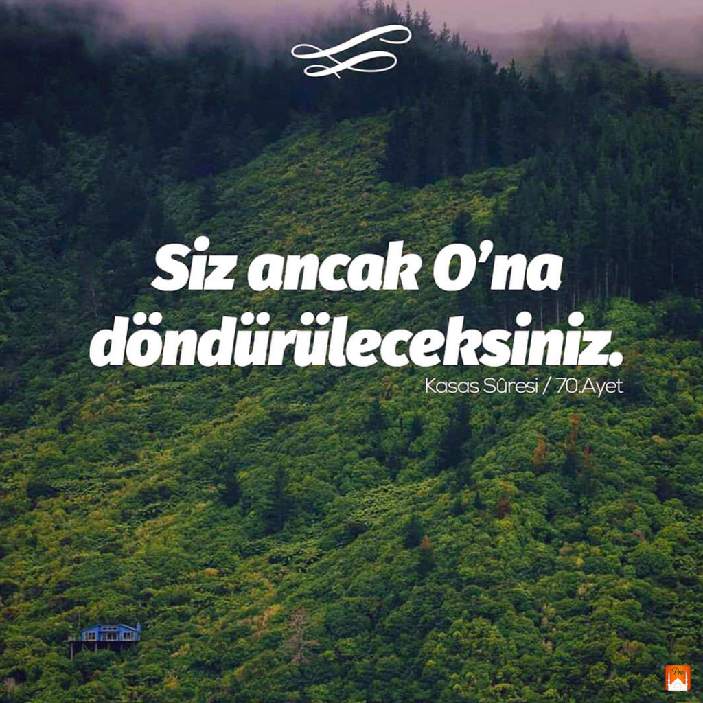 Siz ancak O'na