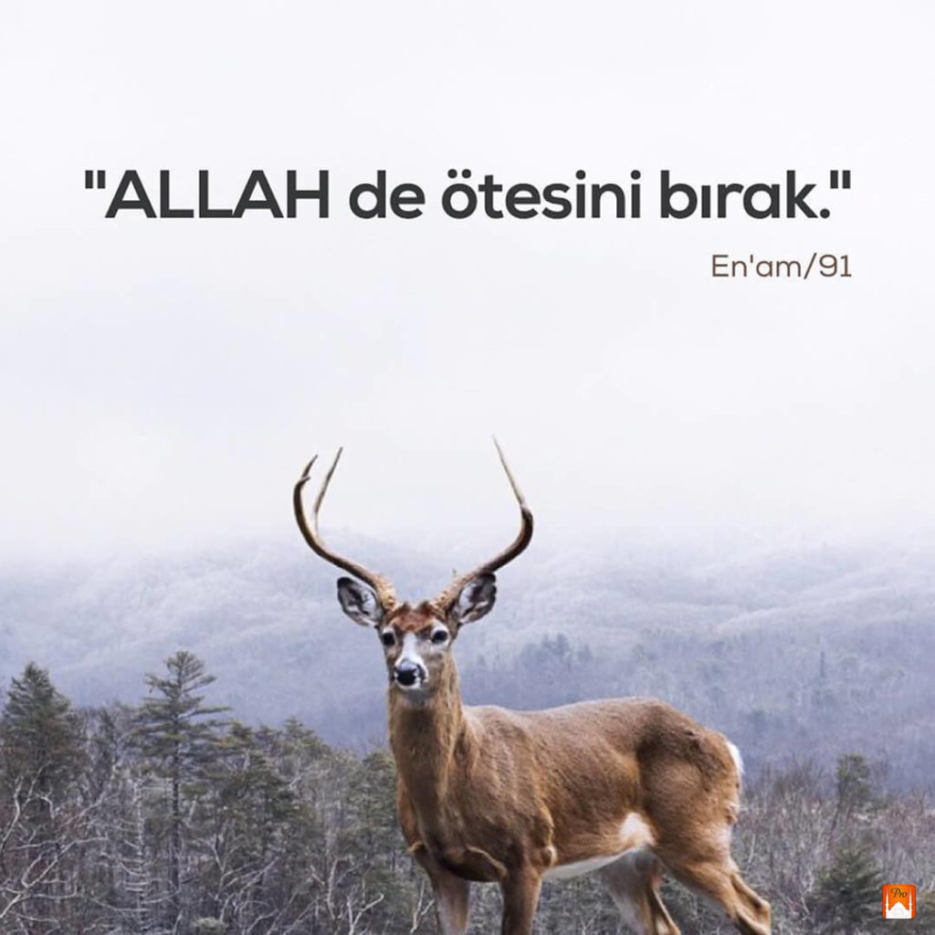 "ALLAH de ötesini bırak."