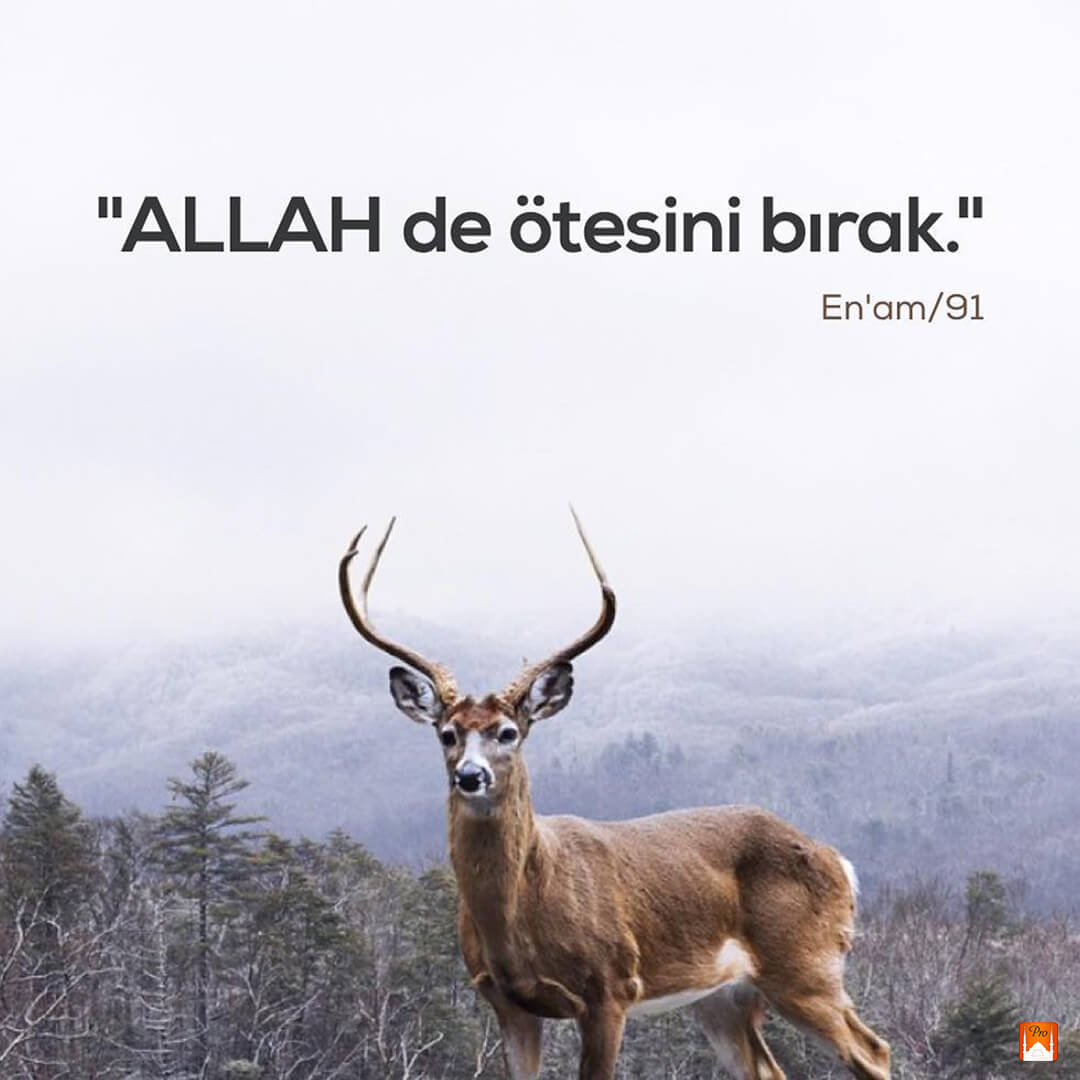 "ALLAH de ötesini bırak."