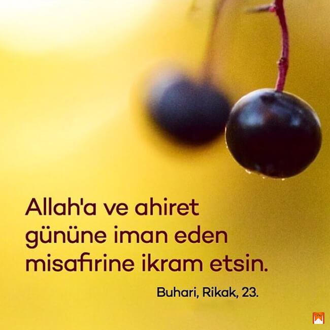 Allah'a ve ahiret