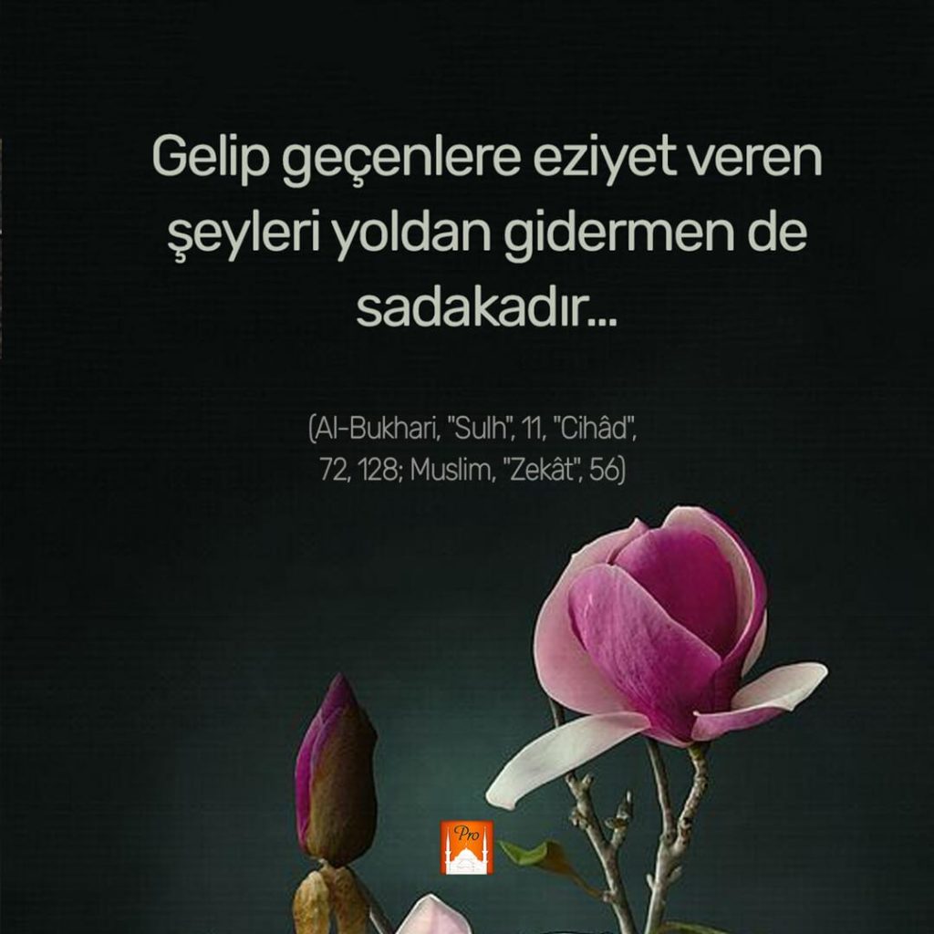Gelip geçenlere eziyet veren
şeyleri yoldan gidermen de
sadakadır... (Al-Bukhari, "Sulh' 11, "Cihâd',
72, 128; Muslim, "Zekât", 56) 3 Gelip geçenlere eziyet veren