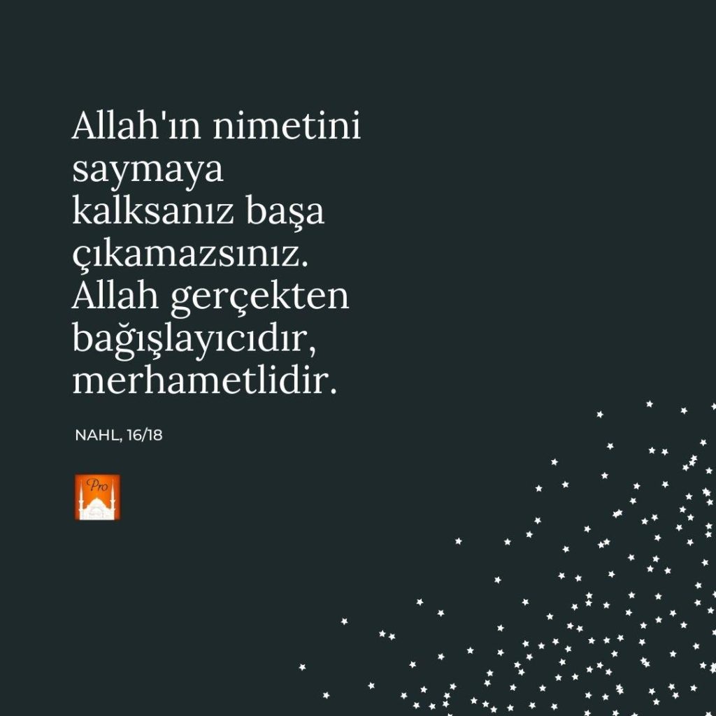 Allah'ın nimetini