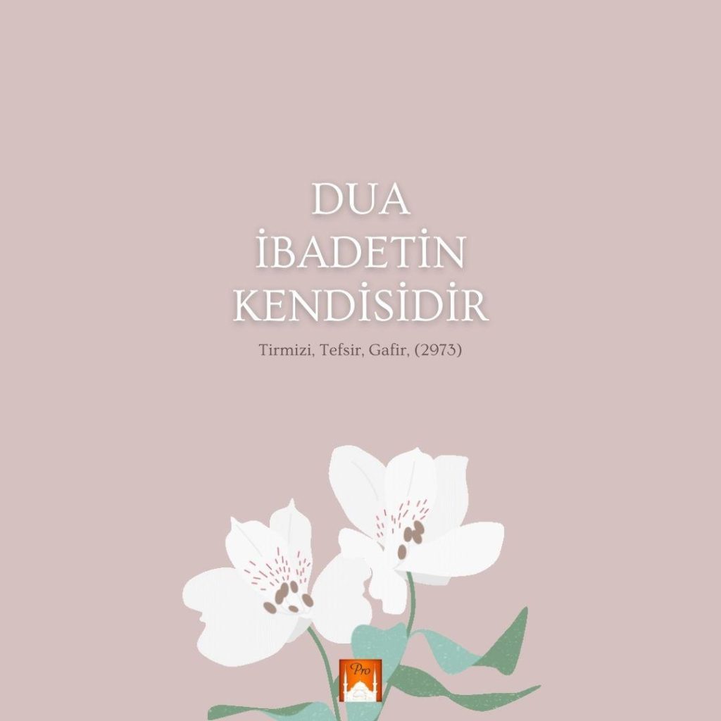 DUA