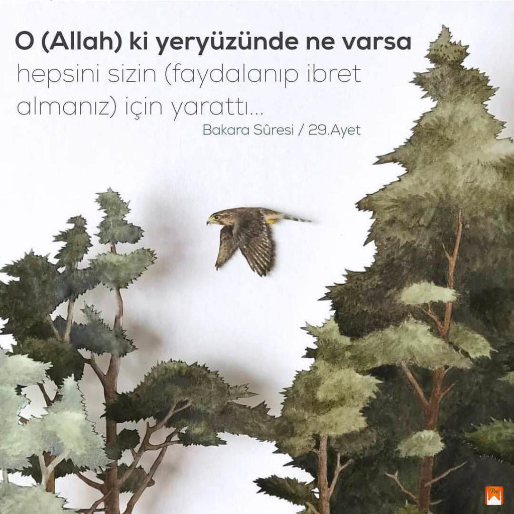 O (Allah) ki yeryüzünde ne varsa