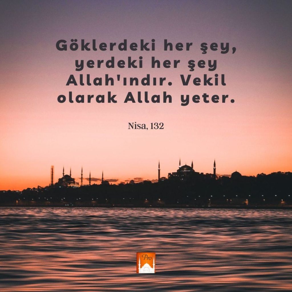yerdekı her şey
