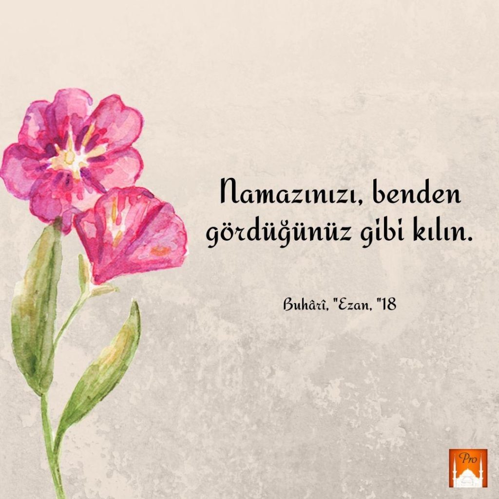 T Mamazınızı, benden
w S .. e. U ba . ee | *
V gördüğünüz gibi kılın. ) v
i
gea
1 - _jşw
':'lq Buhâz, "Ezan, "18 3 T Mamazınızı