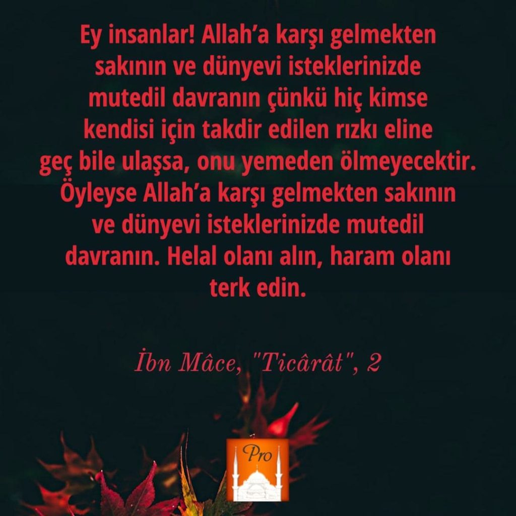 Ey insanlar! Allah'a karşı gelmekten