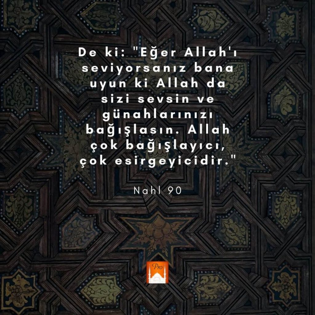 De ki: "Eğer Allah'ı