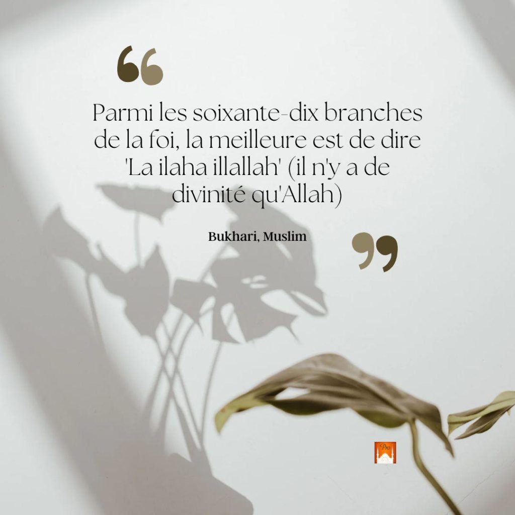 6 Parmi les soixante-dix branches
dela foi, la meilleure est de dire
Lailaha illallah (iln'y a de ivi u'Allah) 7 6