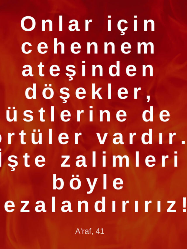 Araf 41