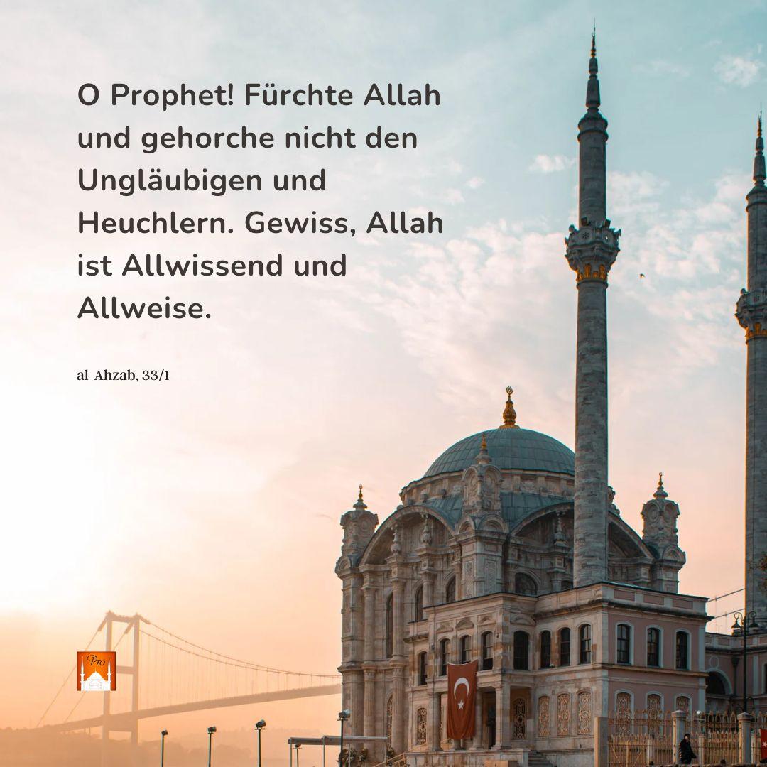 O Prophet! Fürchte Allah