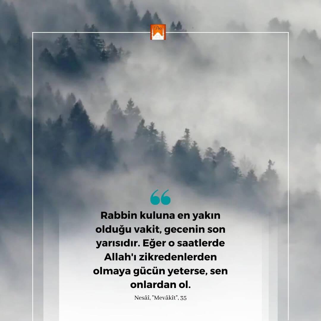 Rabbin kuluna en yakın