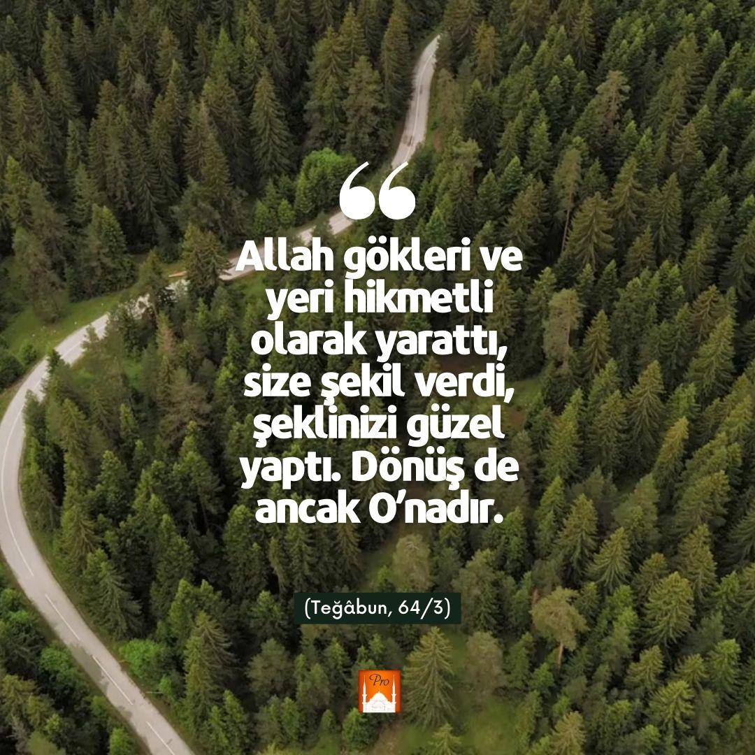 — Allâh gökleri ve