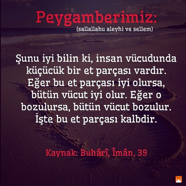 Peygamberimiz: