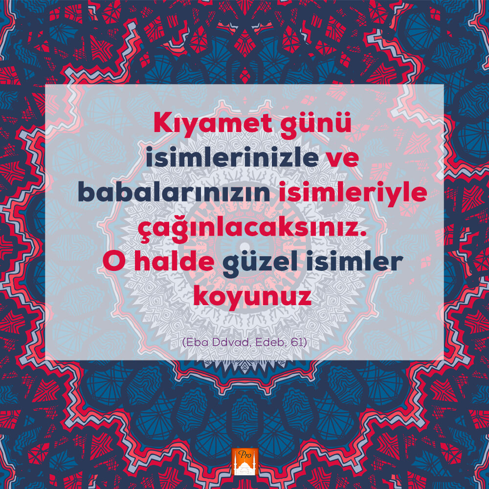 Kıyamet günü