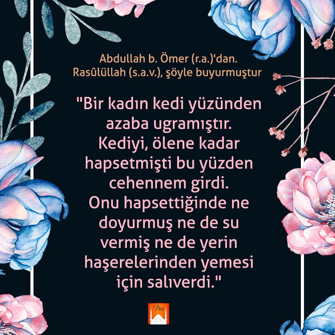 Abdullah b. Ömer (r.a.)'dan. *'