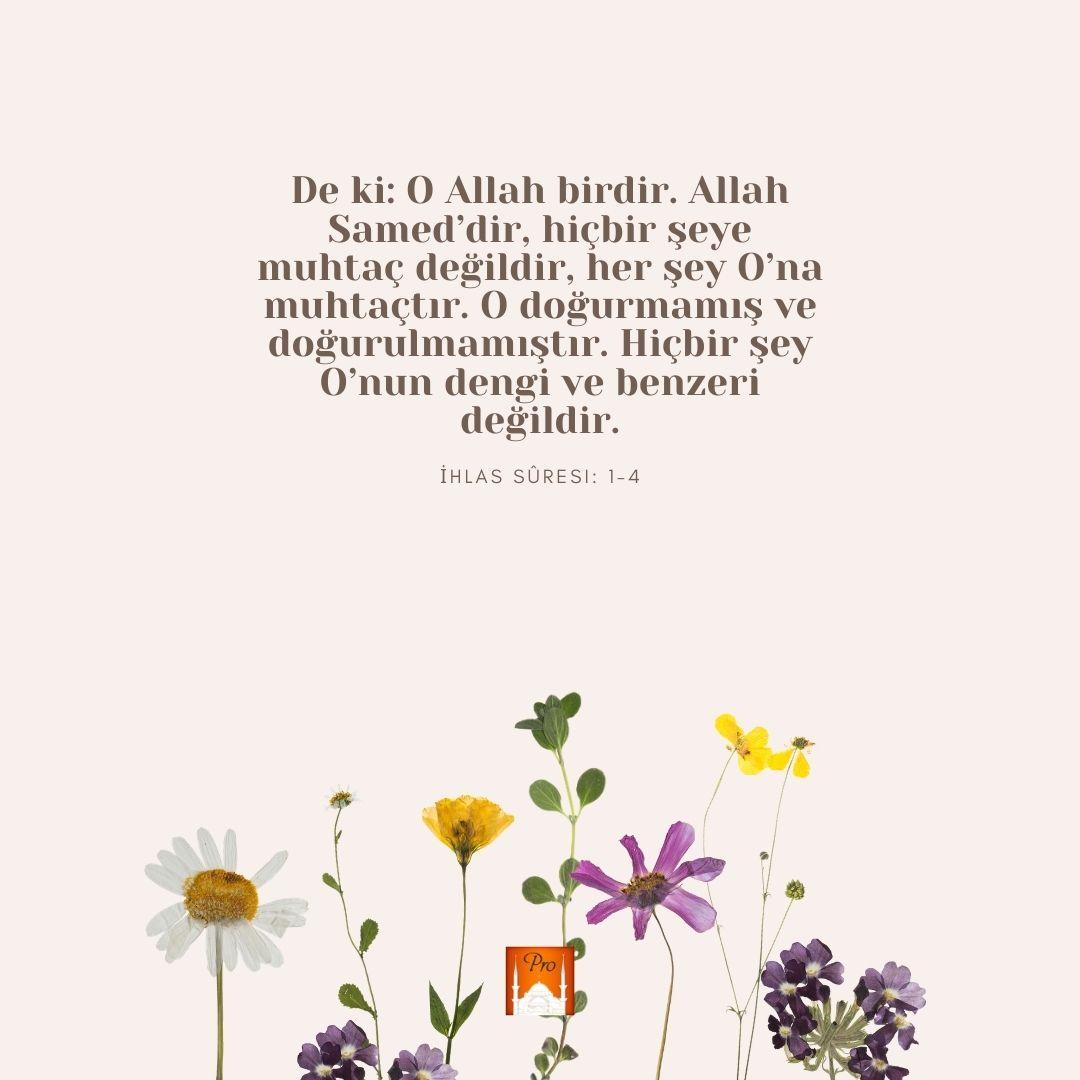 De ki: O Allah birdir. Allah