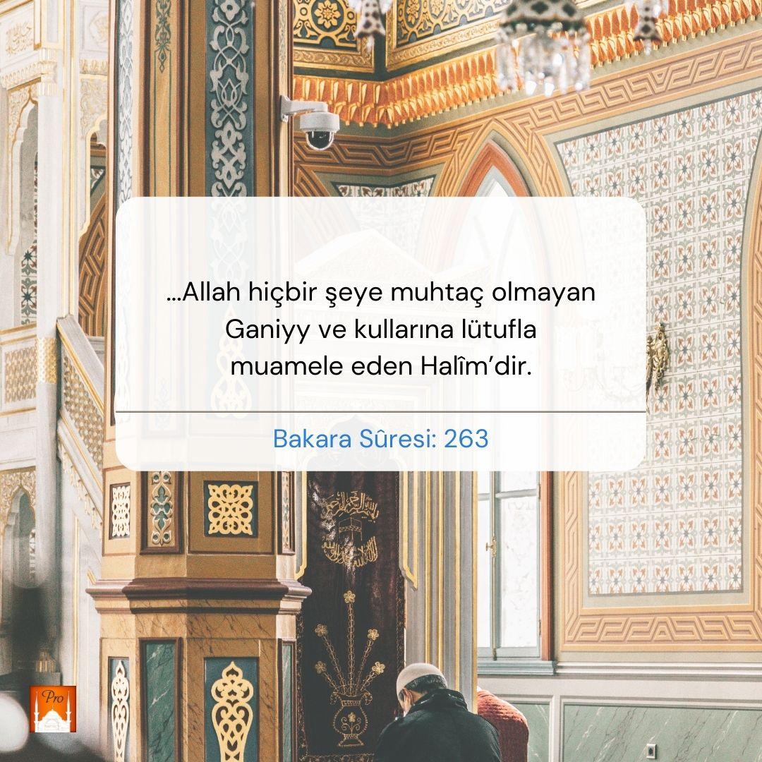 .«Allah hiçbir şeye muhtaç olmayan