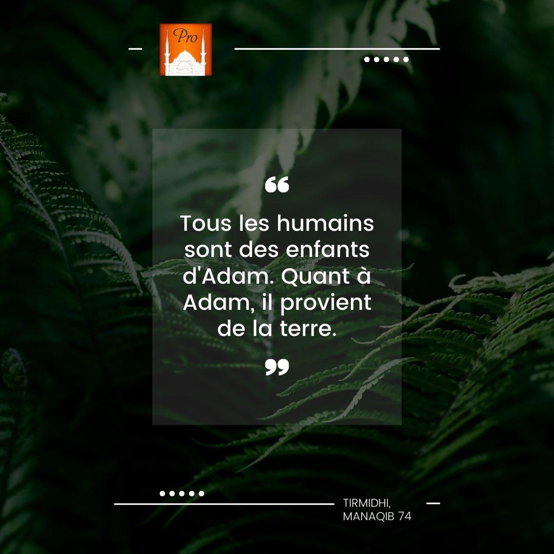 Tous les humains