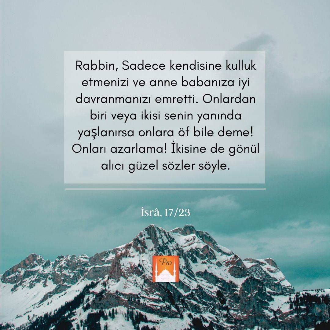 Rabbin