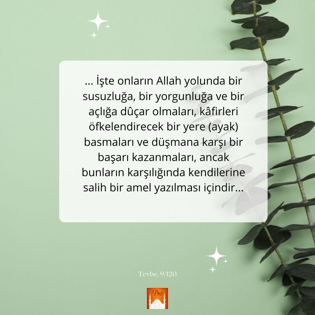 ... İşte onların Allah yolunda bir