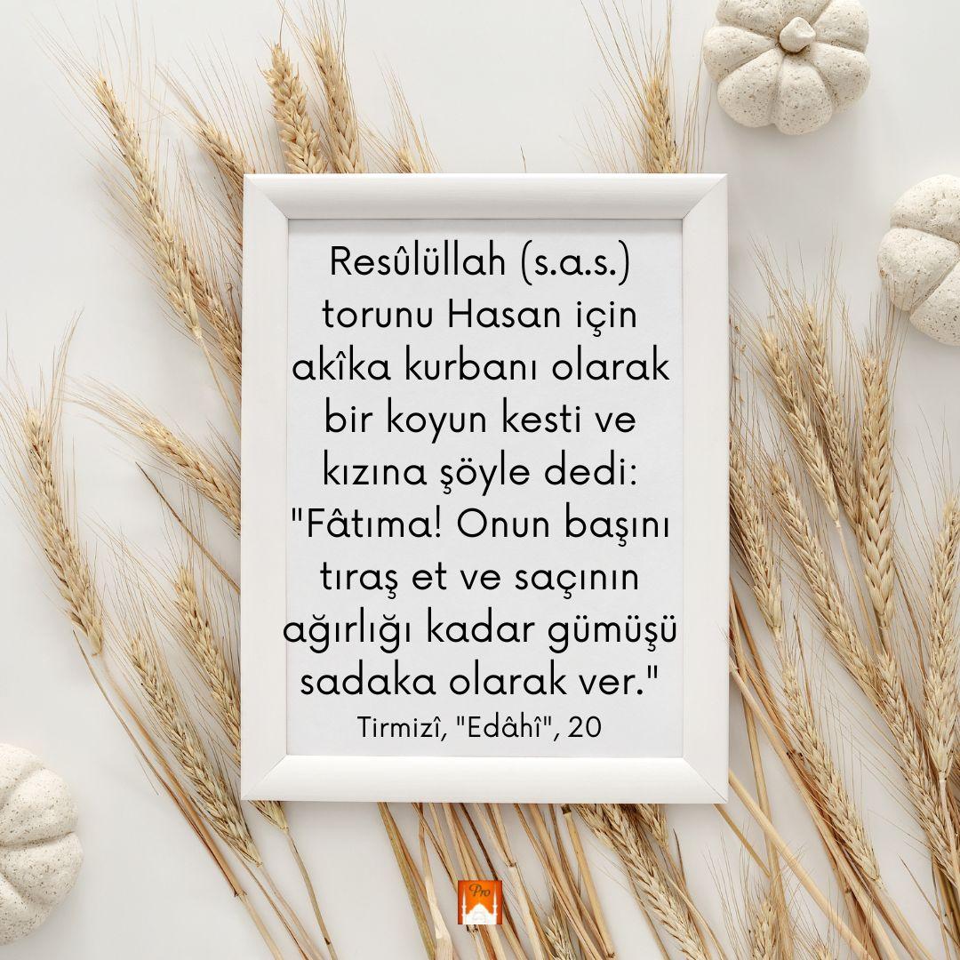 Resülüllah (s.a.s.)